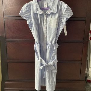 Blue Stripe Carters Dress